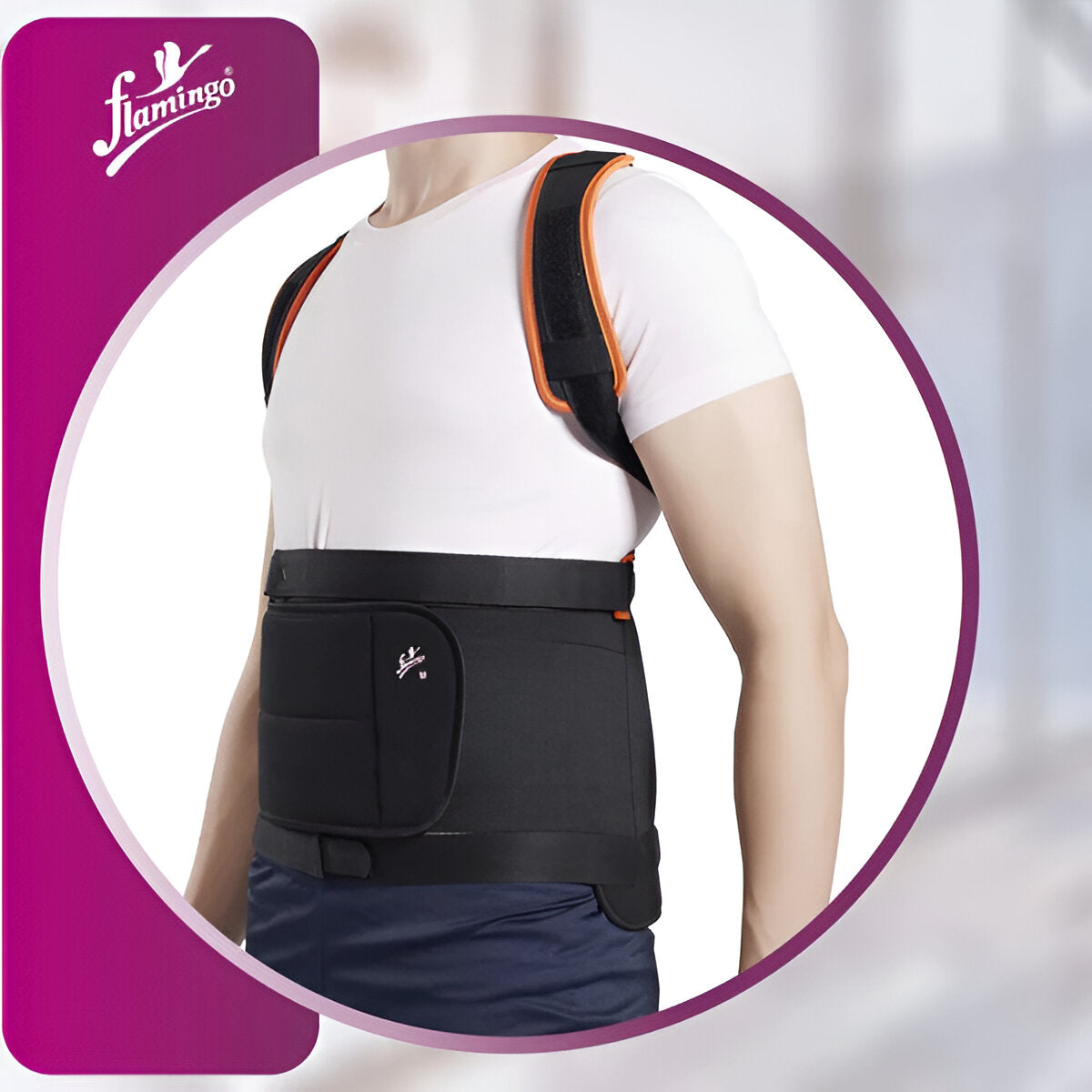 DORSOLUMBAR SPINAL BRACE