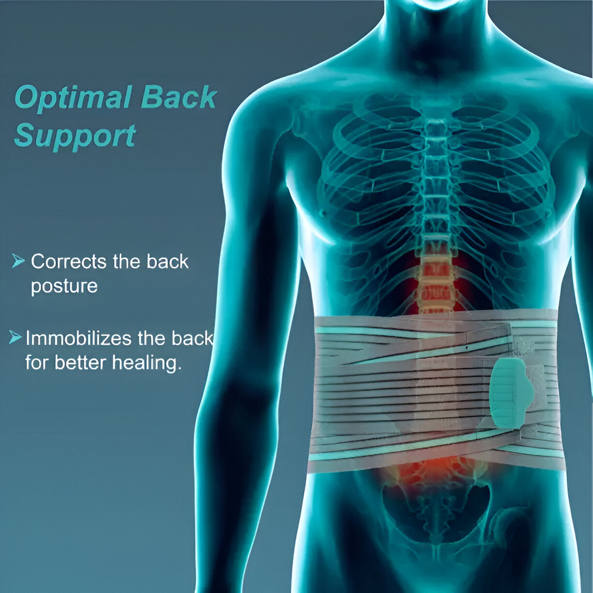 LUMBO SACRAL SUPPORT