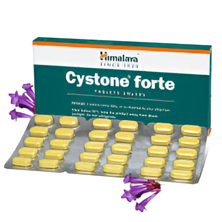 CYSTONE FORTE TAB
