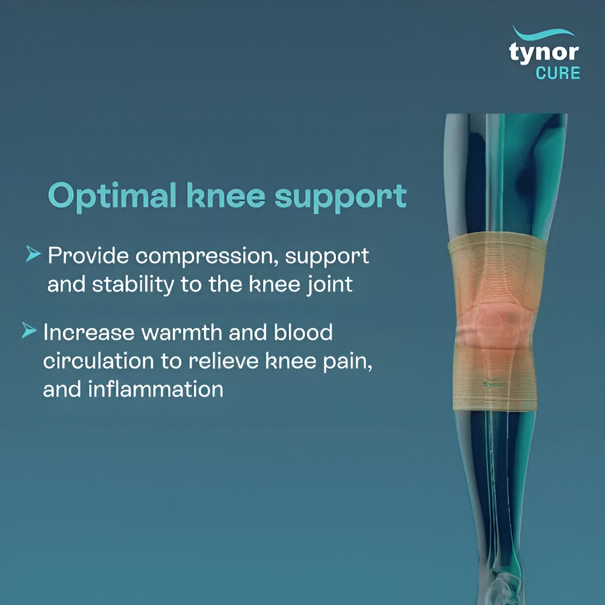 KNEE CAP